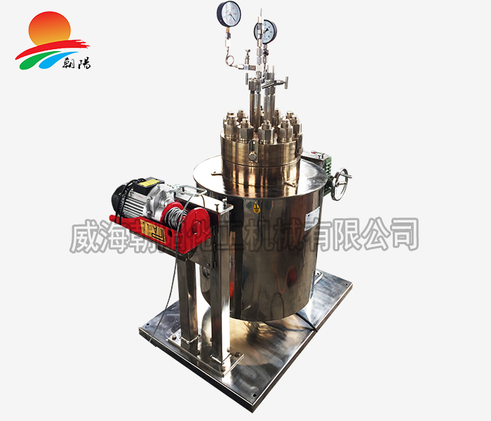 中國地質(zhì)大學-超高溫高壓反應釜